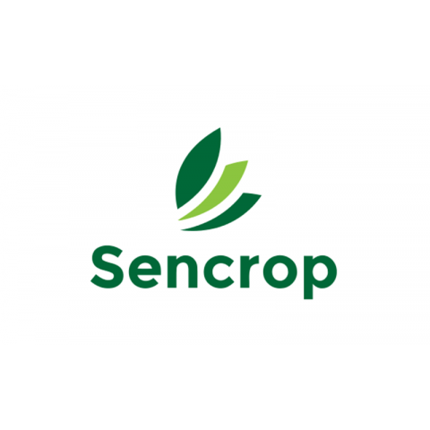echange patate agricole Sencrop